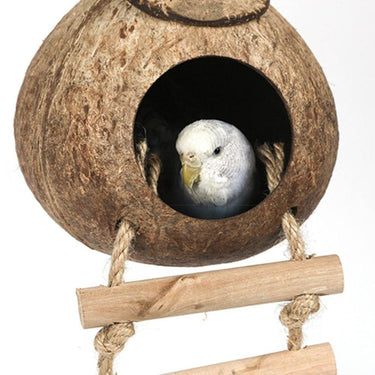 Nid oiseau en noix de coco